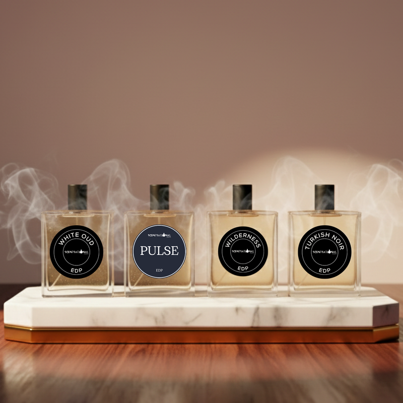 Family Pack of 4 50ml Perfume deal